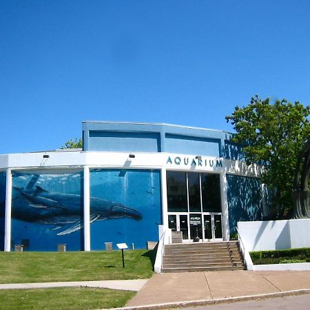 Falls Retreat - Walk To The Falls, The Casino And All Downtown Restaurants - Across From The Aquarium Niagara Falls Exterior foto